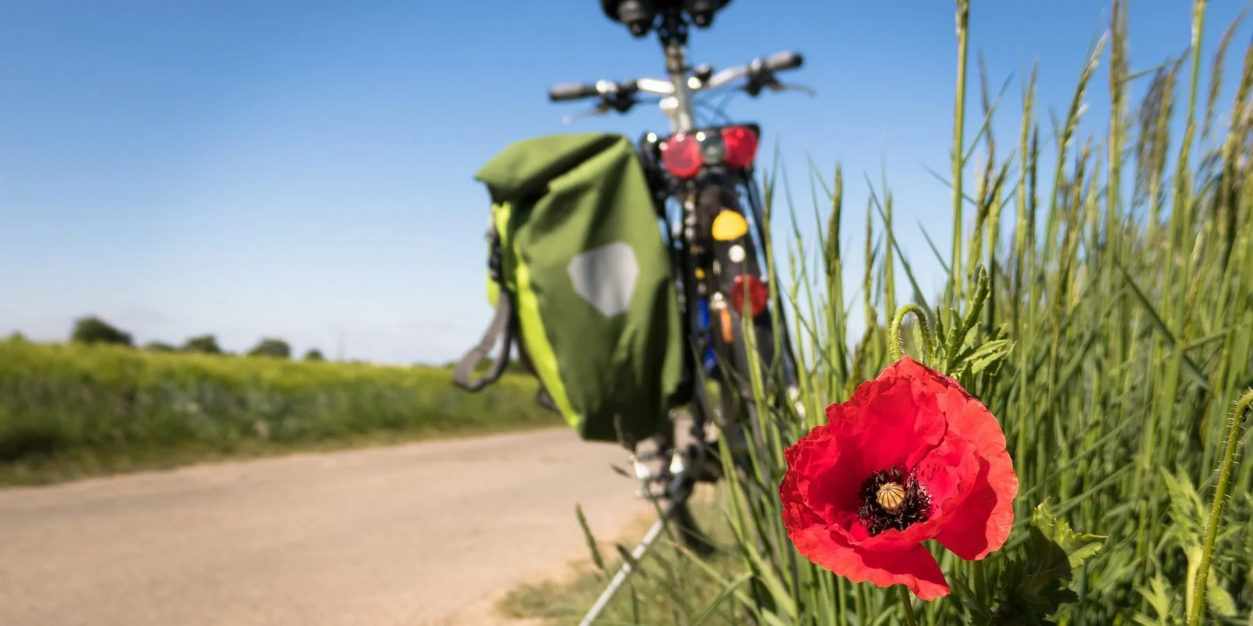 Fietsen vanaf Tiny House Alba