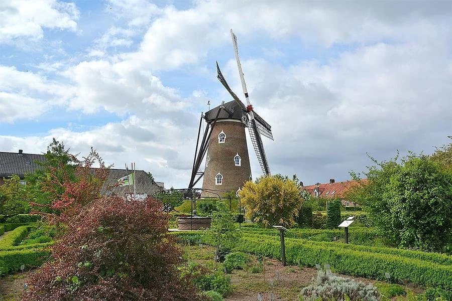 Molen De Doornboom