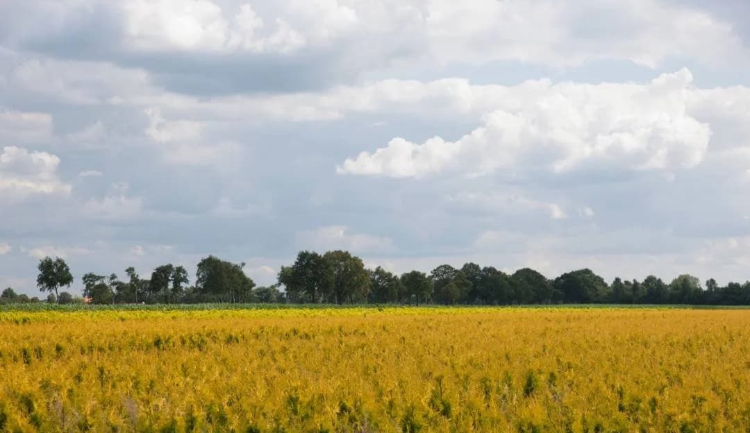 Hilvarenbeek ontdekken