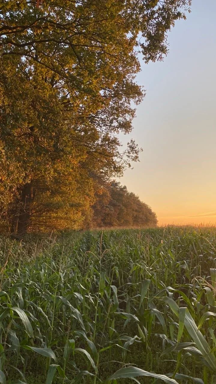 Rondje over het park